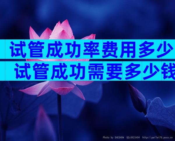 试管成功率费用多少 试管成功需要多少钱
